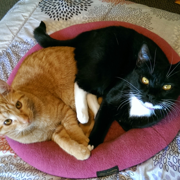 Bookmark me! - Picture 8 of 10